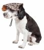 Pet Life 'Cheetah Bonita' Cheetah Patterned Uv Protectant Adjustable Fashion Dog Hat Cap