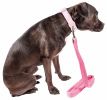 Pet Life 'Aero Mesh' Dual Sided Comfortable And Breathable Adjustable Mesh Dog Leash