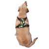 Pet Harness Vest with Quick-Dry, Mold-Resistant Leash: Lightweight and gentle, this outdoor essential ensures comfort and safety for your furry friend